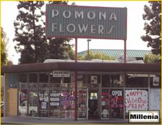 FLOWER SHOP_FREE_STANDING_VACANT BUILDING_OWNER/USER